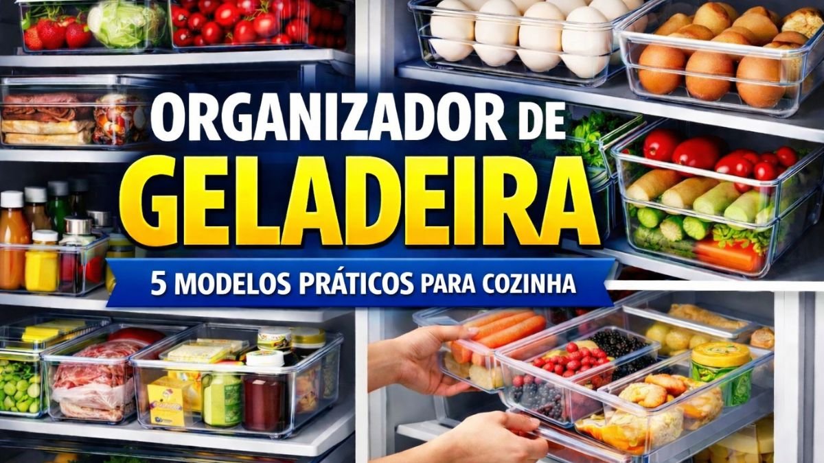 organizador de geladeira com diferentes modelos organizando alimentos